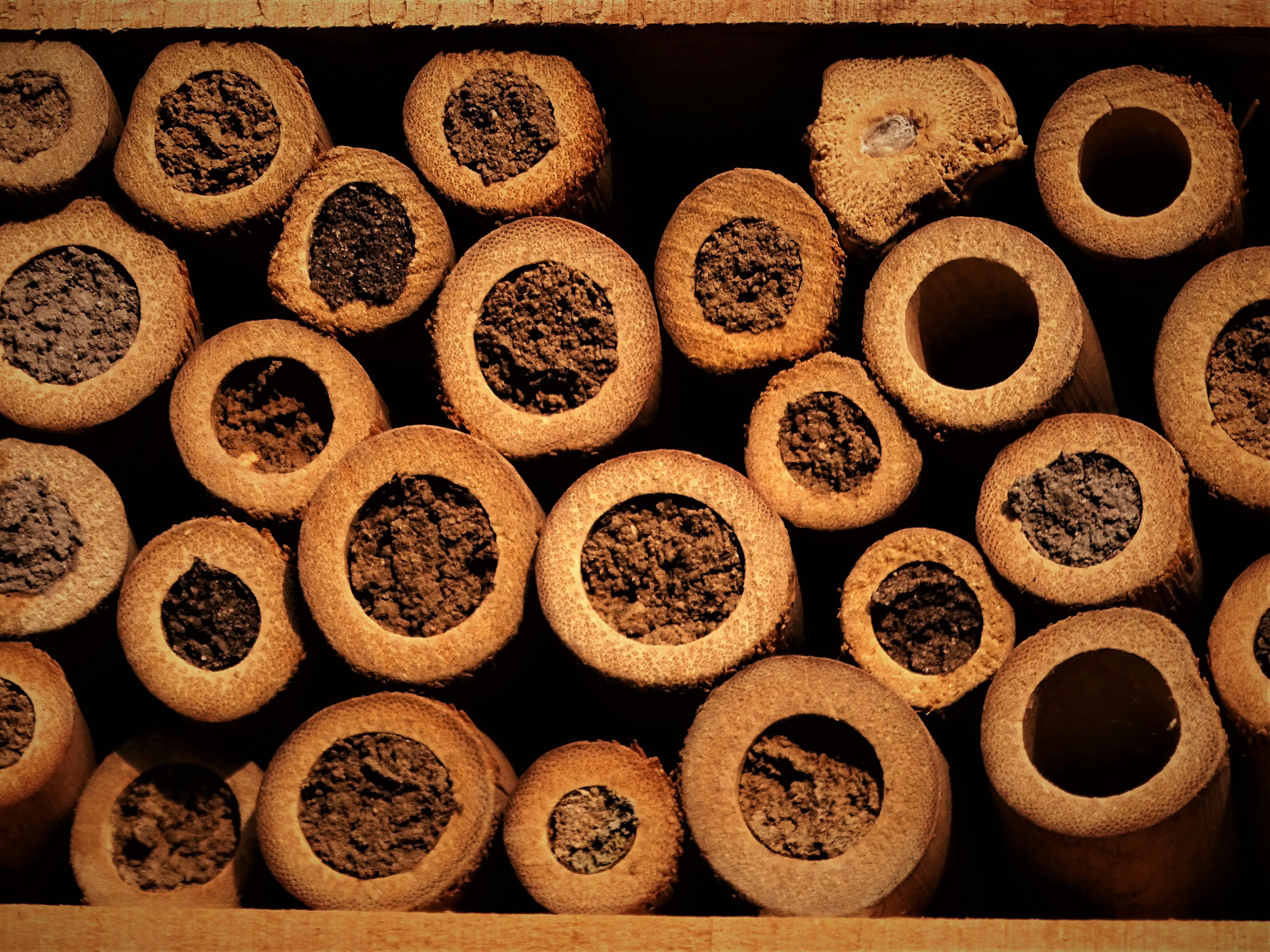 Close-up of bamboo insect hotel, providing a habitat for various insects. Eco-friendly and sustainable.