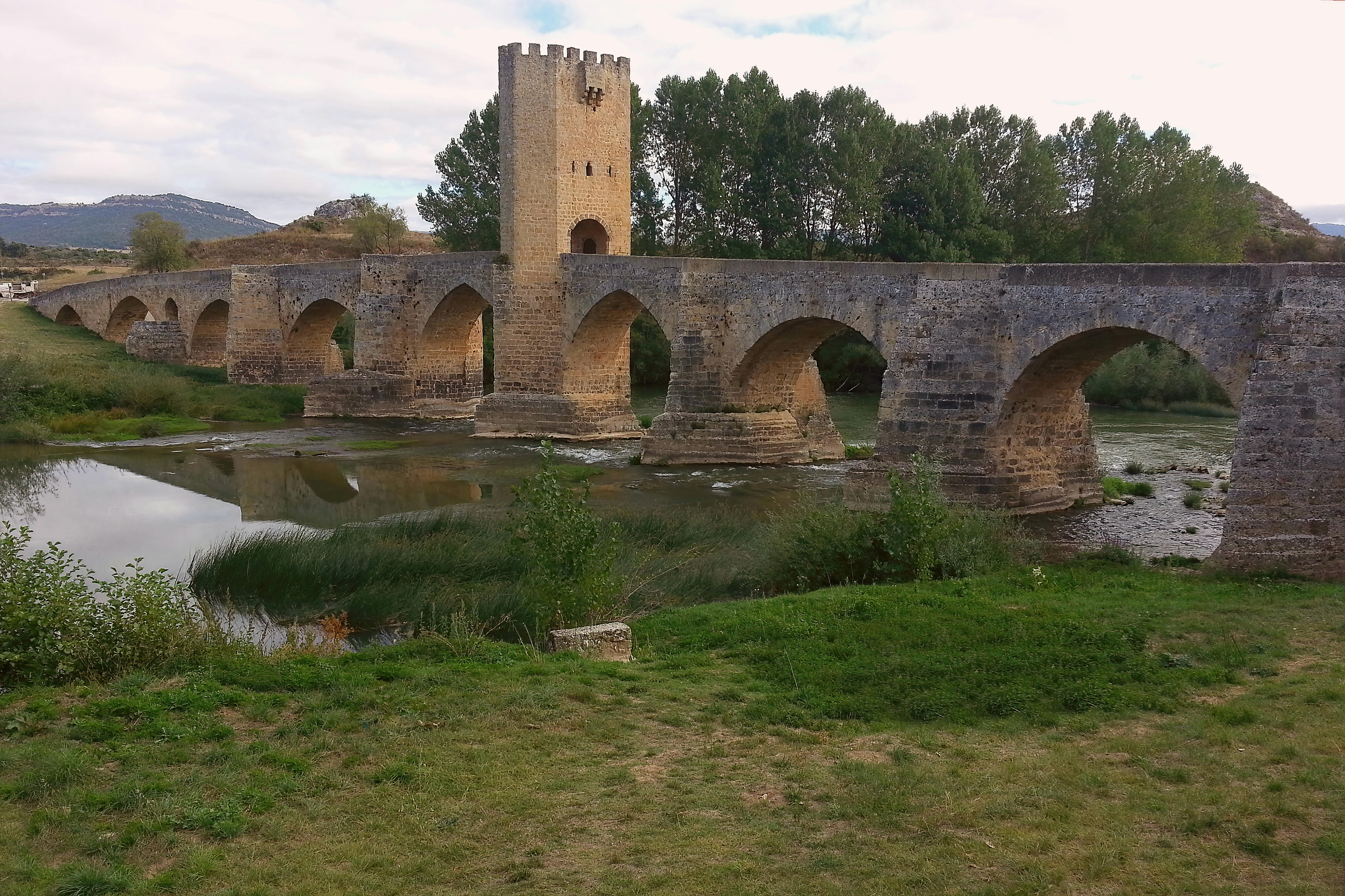 女性が鏡の前で姿勢をチェックしている様子