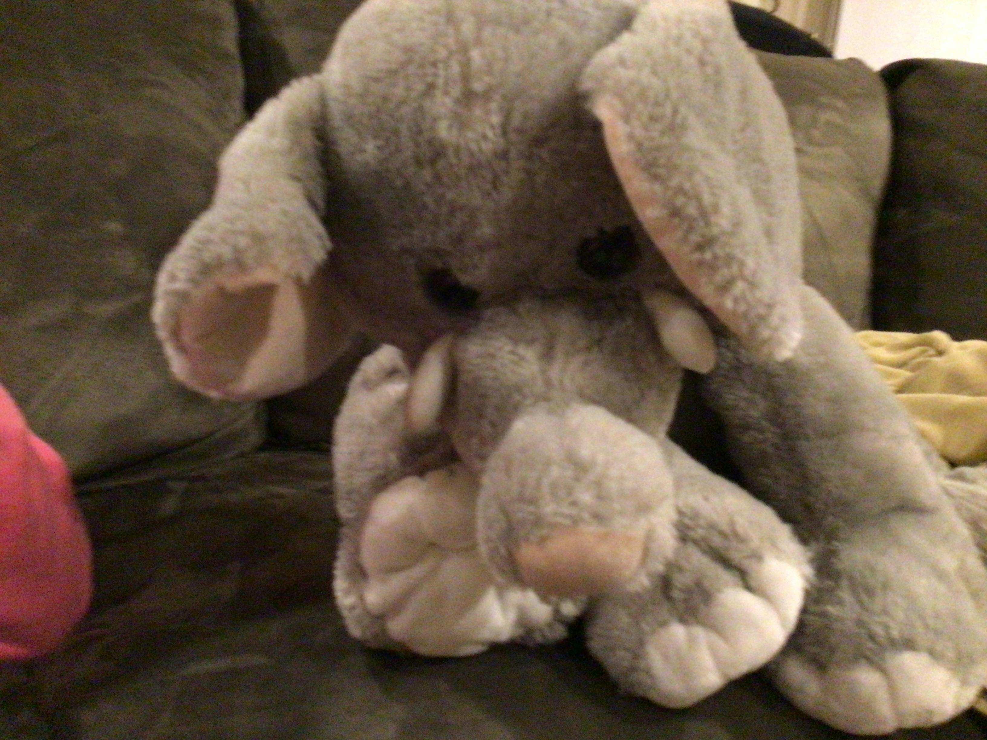 Using mobile phone for public transport payment