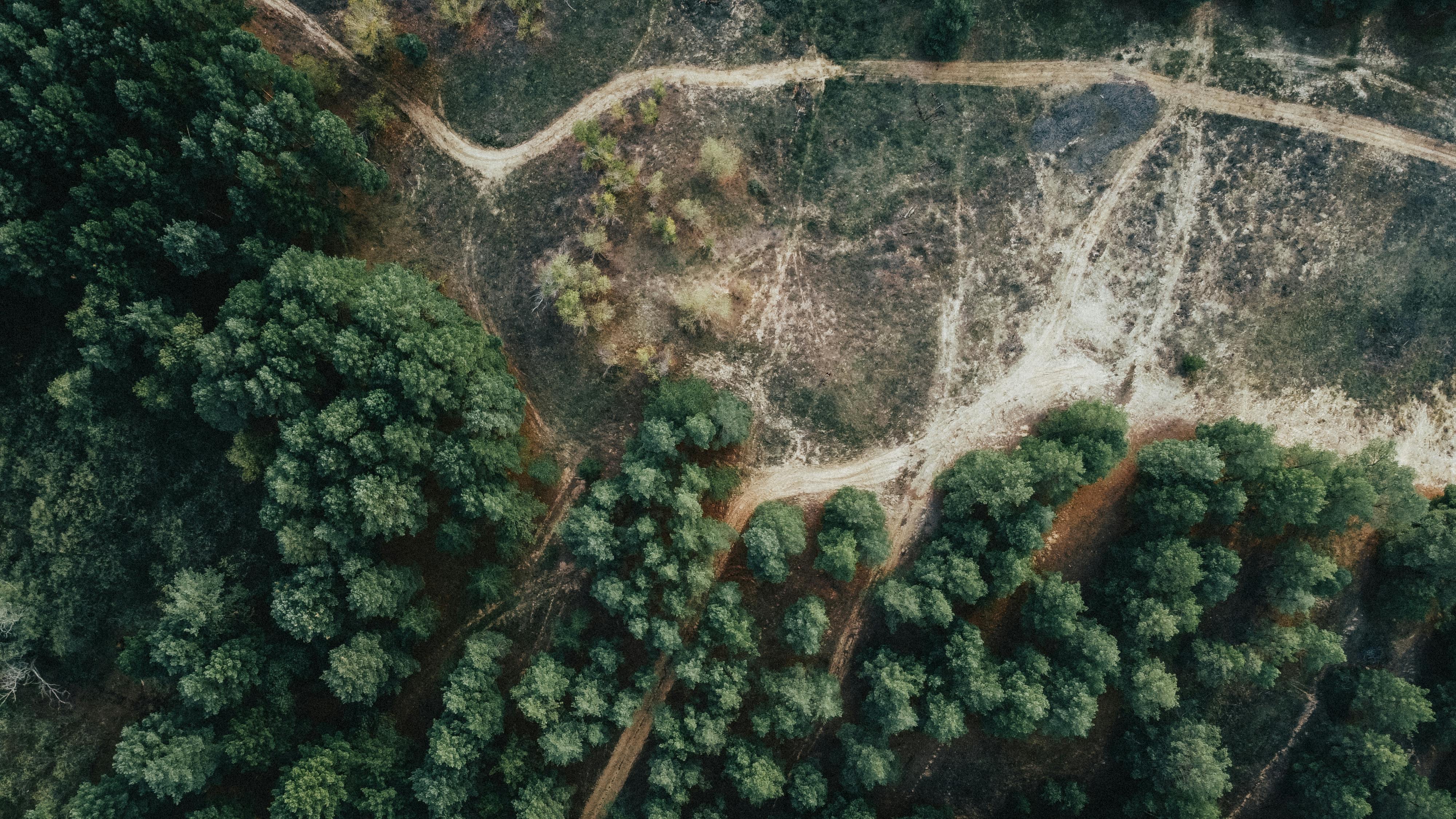 人体腹部肌肉解剖图，显示腹横肌位置