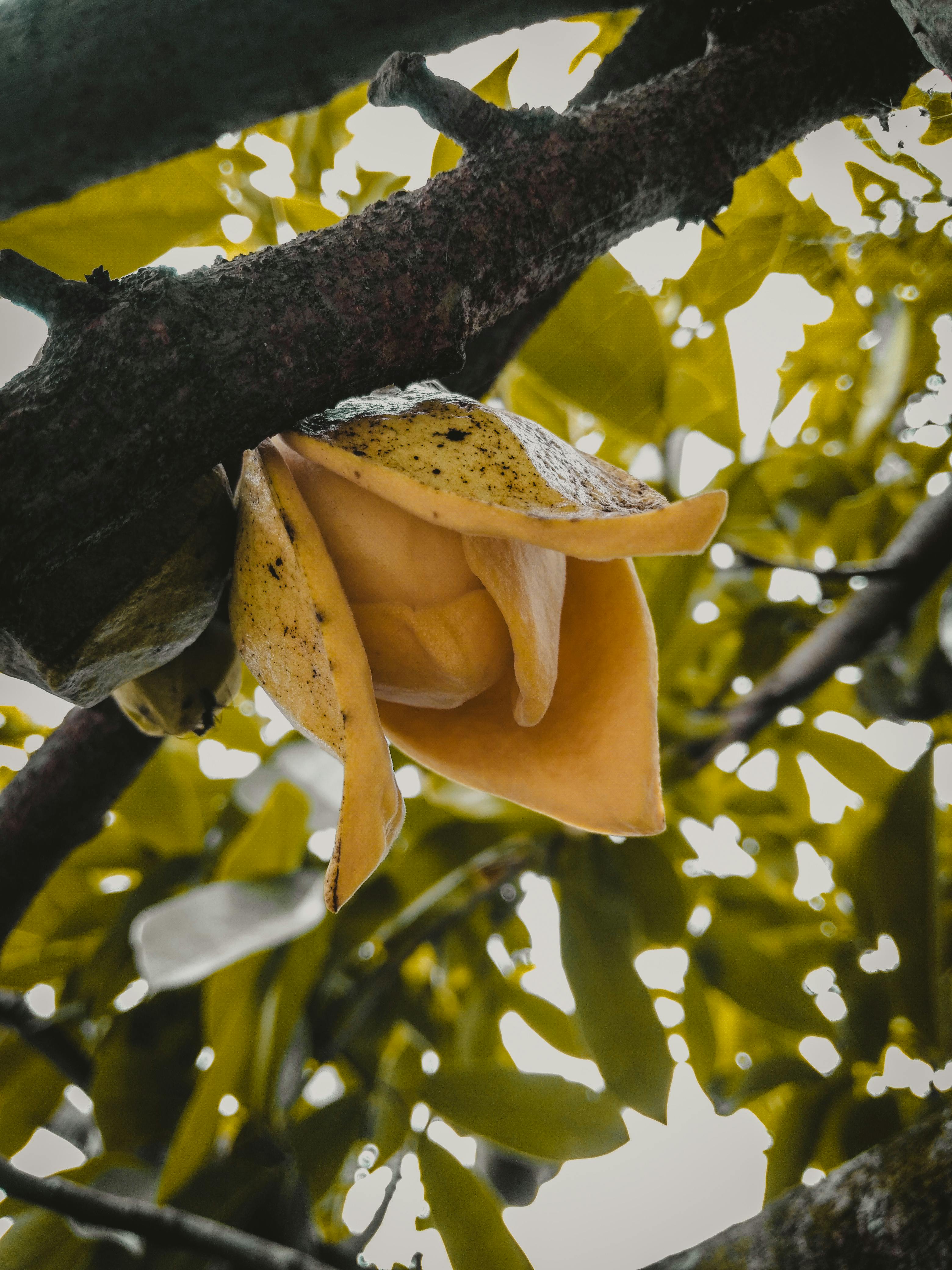 Data bias cycle visualized with digital justice algorithm feedback loop