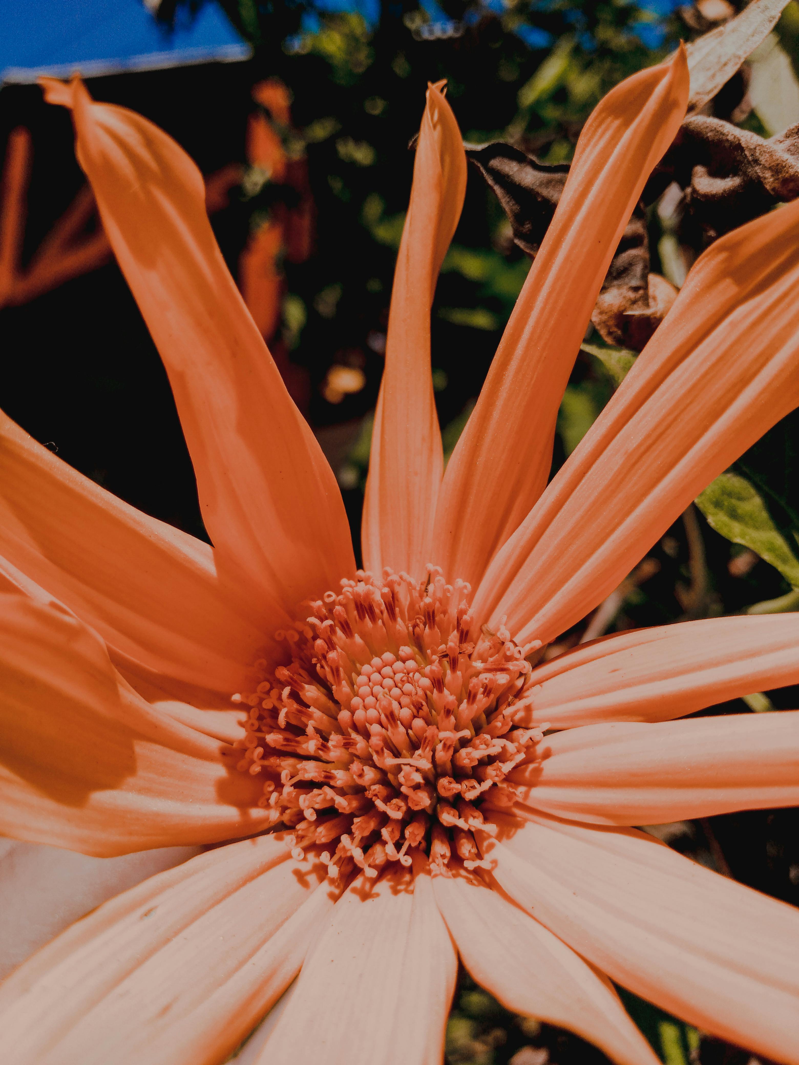 Insurance executives discussing AI governance and transparency policies