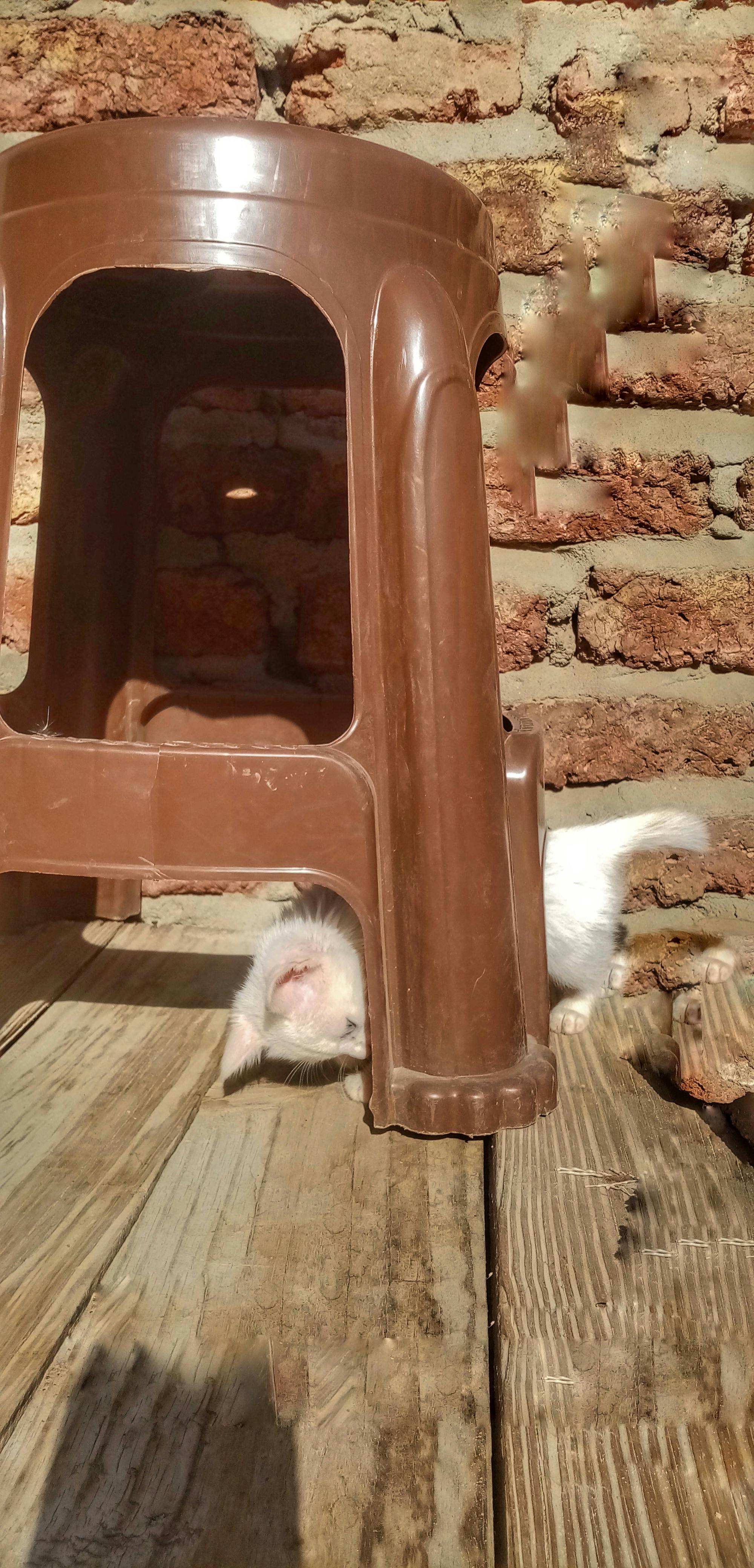 Z세대의 새로운 정치 참여 방식 표현 장면