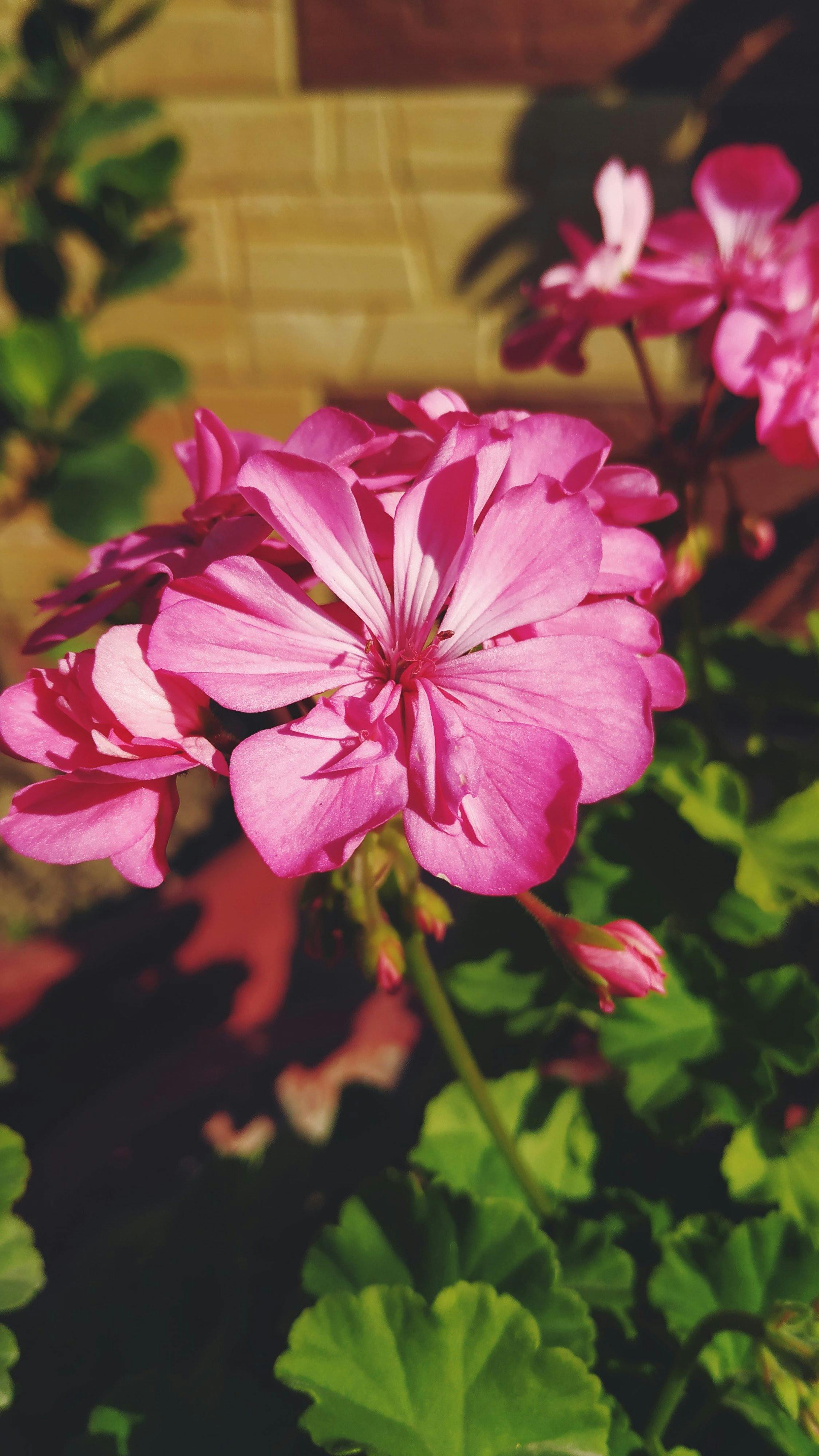 オフィスチェアに座ってレッグレイズをする男性