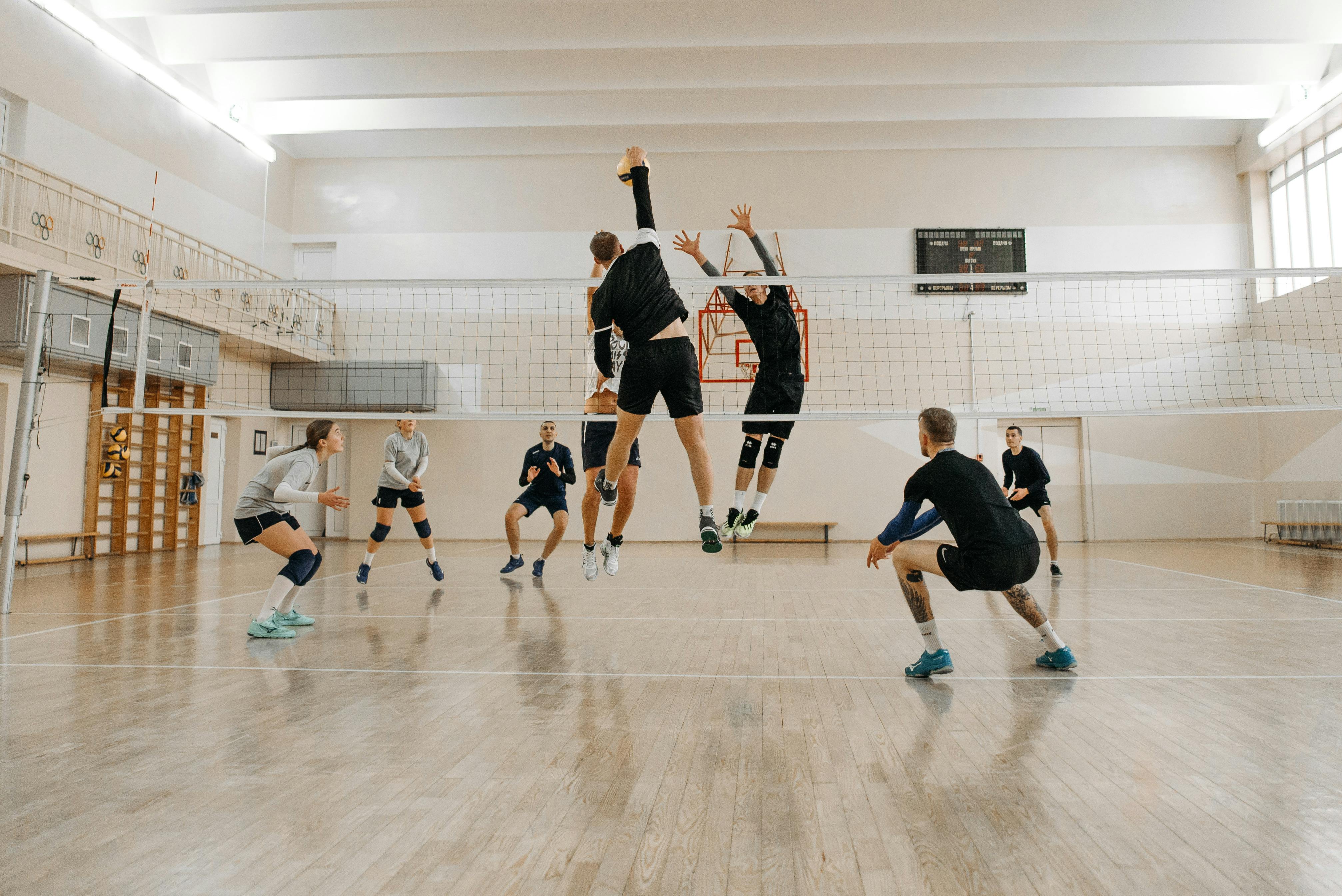 people playing volleyball