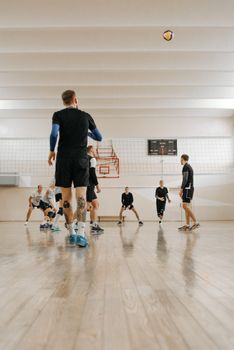 Seven male volleyball players engage in a dynamic indoor match on a polished wooden court.