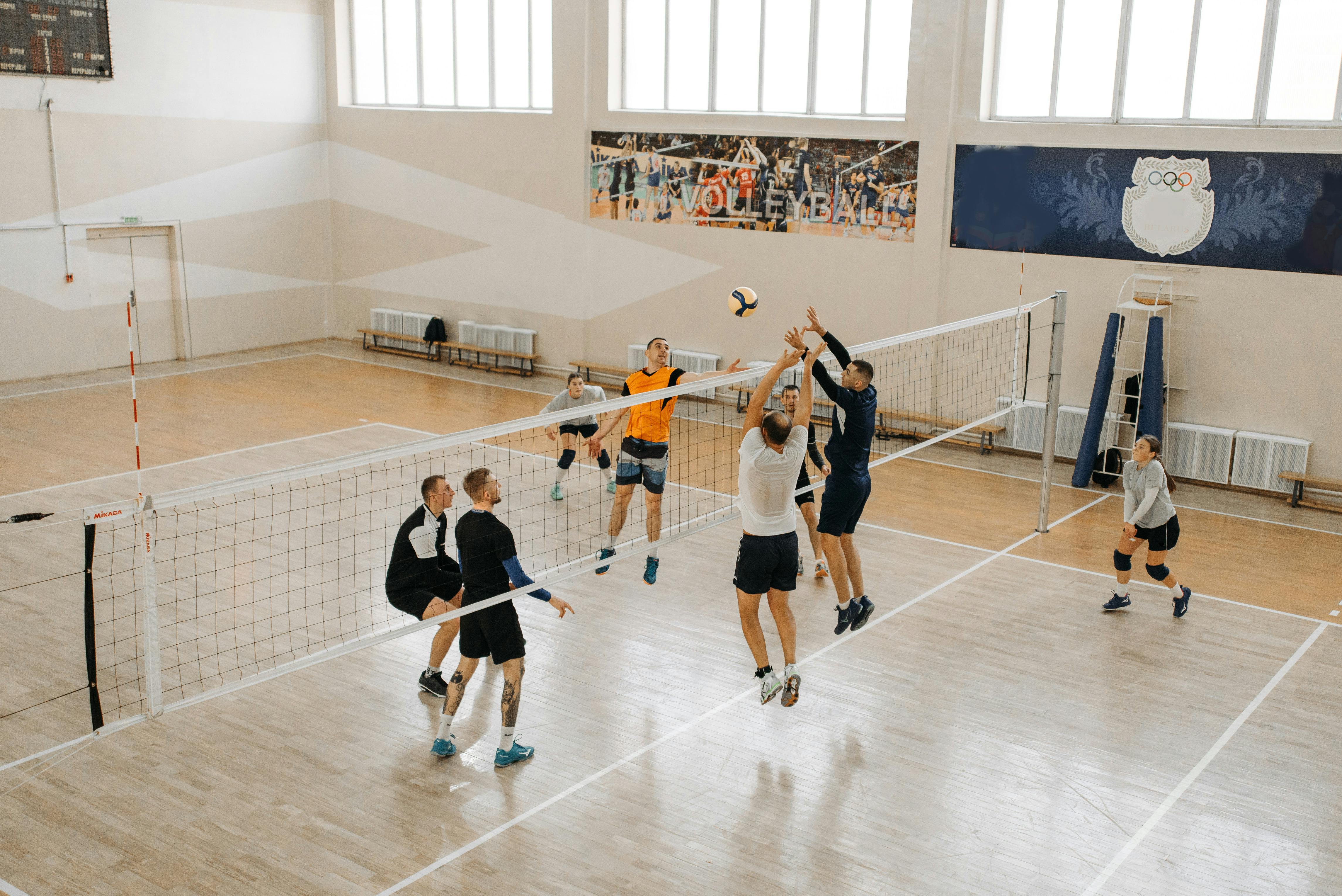 Volleyball Court Photos, Download The BEST Free Volleyball Court Stock  Photos & HD Images