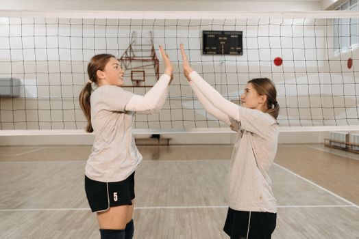 Two female volleyball players high fiving over the net indoors on a court.