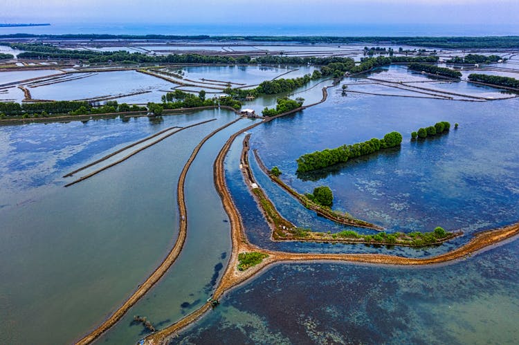 Scenic Landscape Of Estuaries And Coastline With Plants