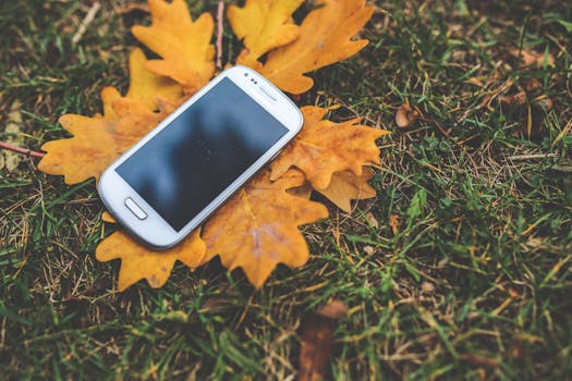 Smartphone placed on orange autumn leaves in an outdoor setting.