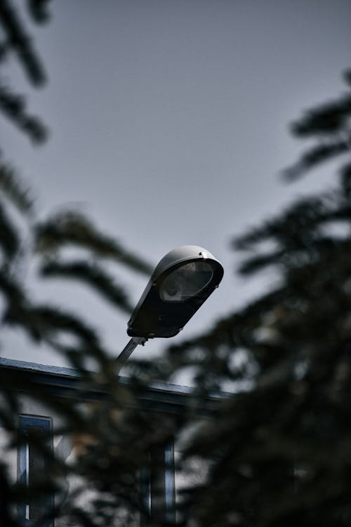 Selective Focus Photo of a White Street Lamp