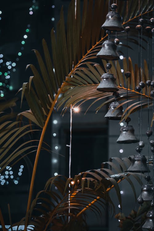 Photo of Hanging Bells Near Palm Leaves