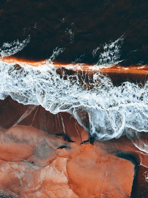 Stormy water near sandy shore in daytime