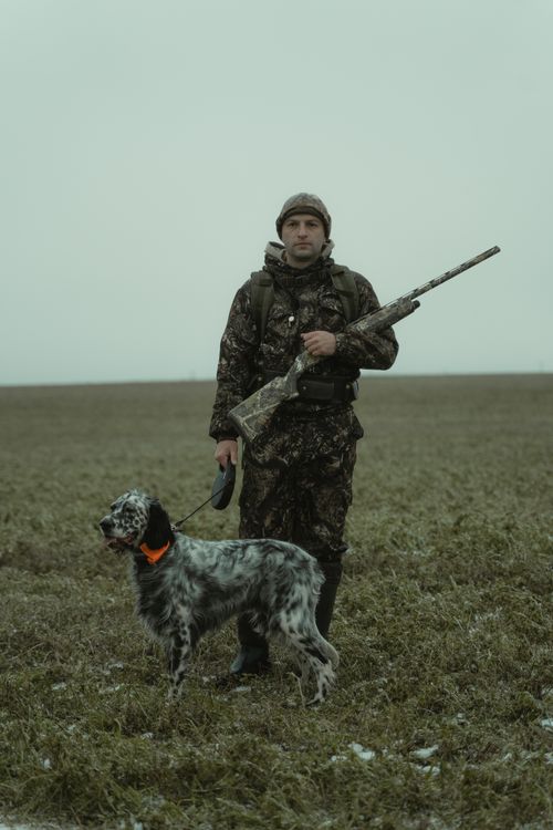 Free A hunter in camouflage gear holding a rifle stands with a hunting dog in a grassy field. Stock Photo