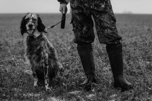 Free A grayscale portrait of a hunter standing with a spotted dog in a field. Stock Photo