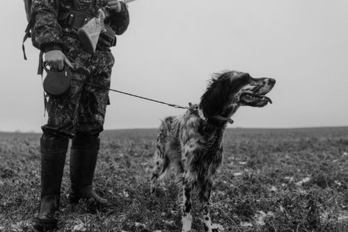 Free A hunter and his dog standing in a foggy field, ready for adventure. Stock Photo
