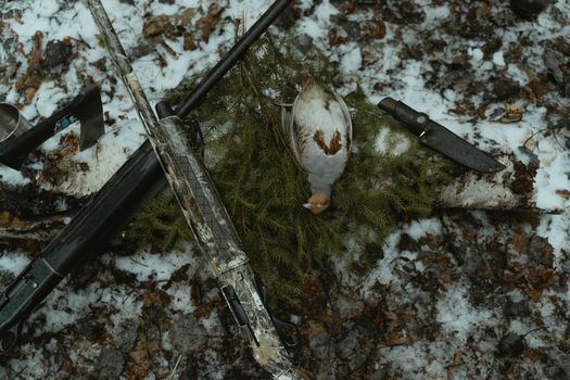 Free stock photo of abandoned, adventure, aim