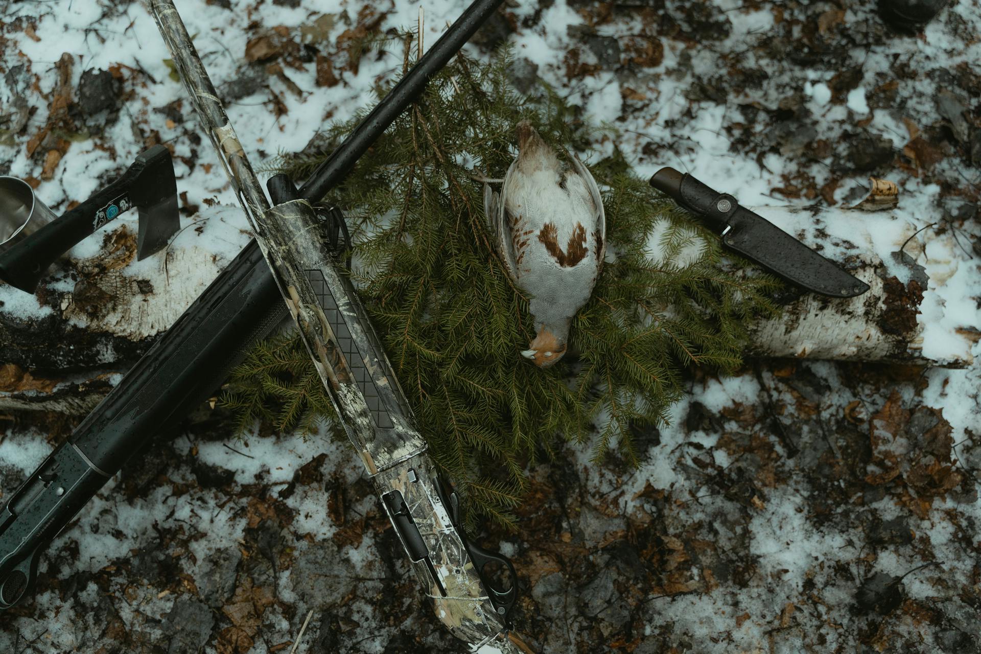 Weapons and Dead Bird on the Ground