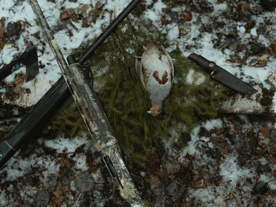 Hunting Properties