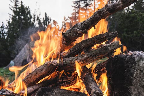 Free Photograph of Burning Wood Stock Photo