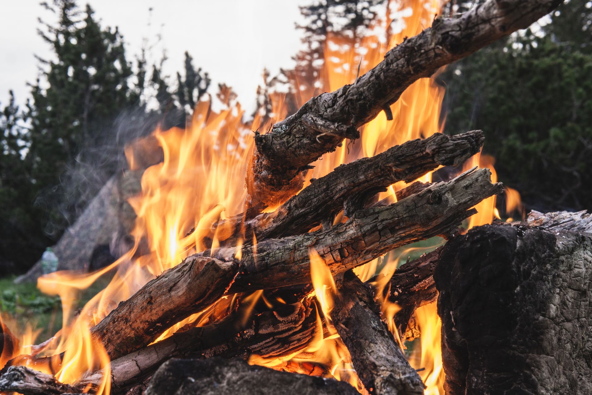 Photograph of Burning Wood