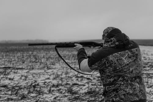 Photos gratuites de arme, arme à feu, armed