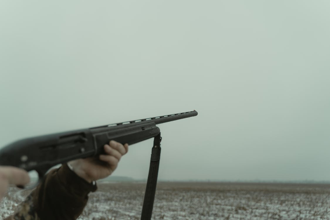 Free A Rifle Aimed at a Target Stock Photo