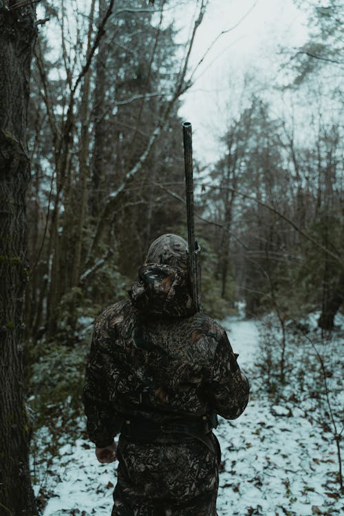 Free Back View of a Hunter Carrying His Gun Stock Photo