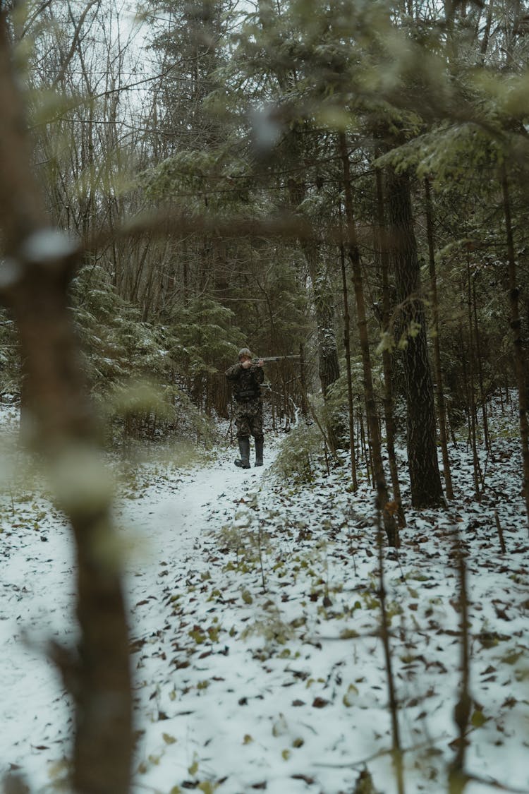 Person Aiming A Rifle While Hunting In The Woods