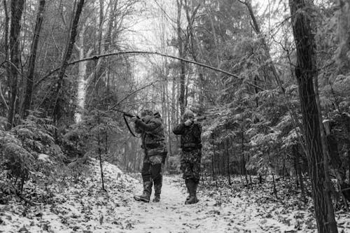 Základová fotografie zdarma na téma černobílý, jednobarevný, kamufláž