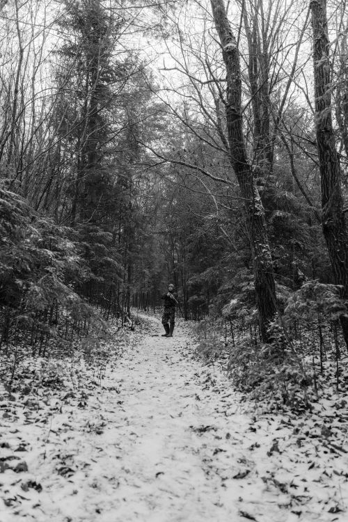 Free A solitary hunter walks along a snow-covered path in a winter forest. Stock Photo