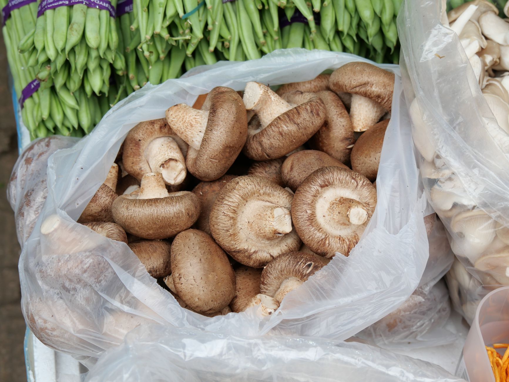 Close-up of fresh shiitake mushrooms in a plastic bag at a Hong Kong market.