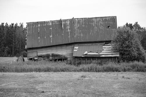 A Grayscale Photo of an Abandoned Barn