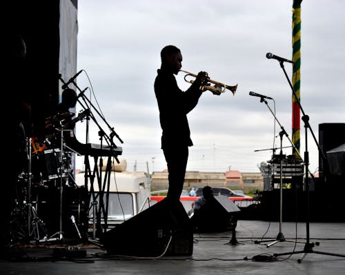 Fotos de stock gratuitas de acústico, concierto, de perfil