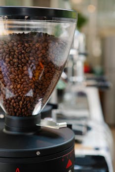 Fresh coffee beans in a clear grinder inside a modern café setting.