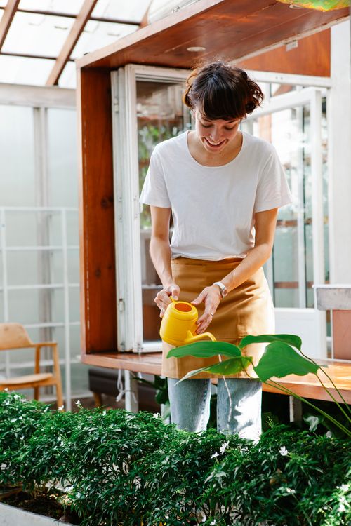 Free Happy young lady worker in casual outfit and apron standing in light hothouse and watering green plants with watering can in day Stock Photo