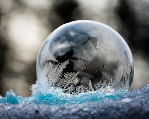 Frozen clean transparent bubble with patterns on ice in winter forest on blurred background