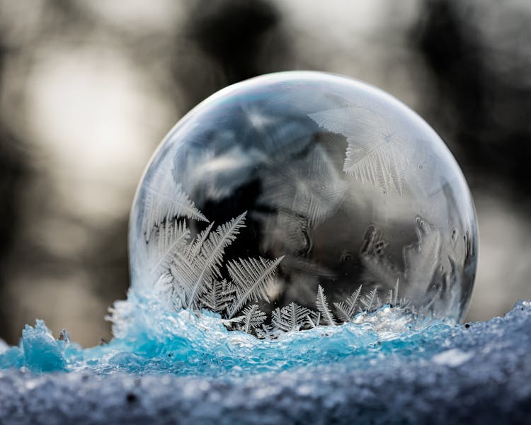 Soap Bubble Frozen Among Ice In Winter