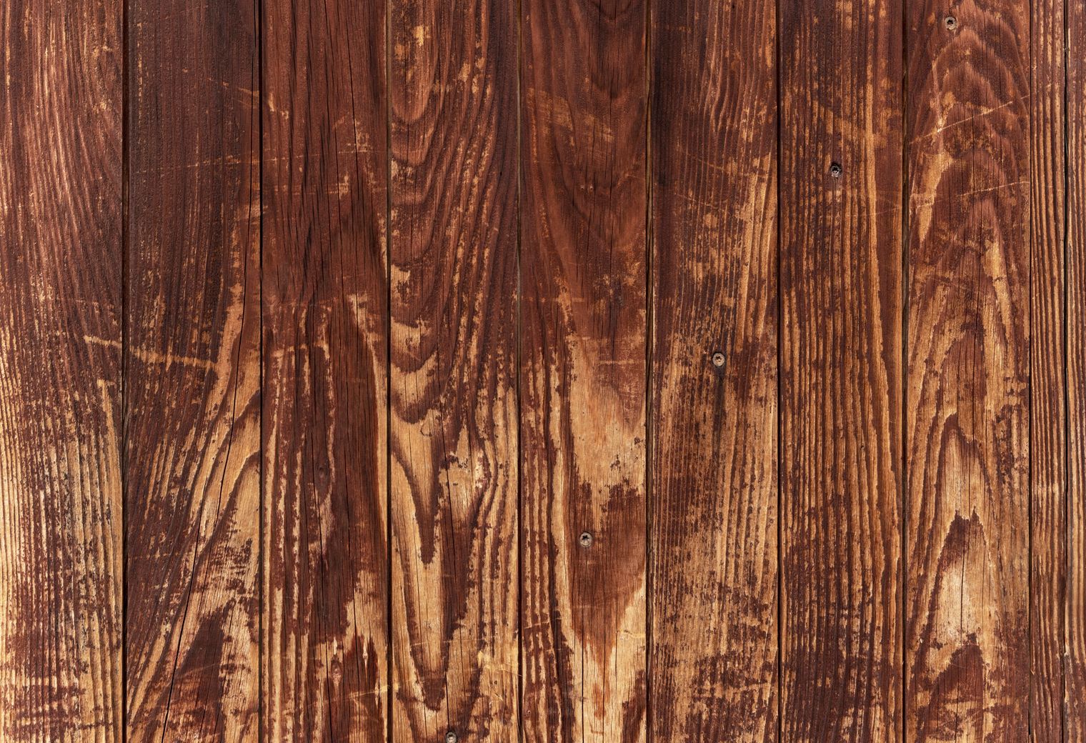 Fence and Decking Painting in Stepney — woodwork brushed to a crisp, smooth line