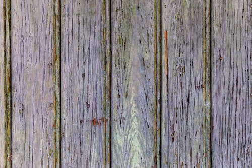 Close-up of Wooden Wall Surface