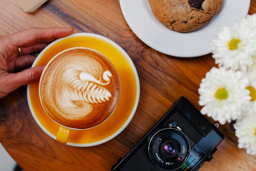 Free Top view of crop unrecognizable female with cup of delicious coffee near photo camera and blooming flowers in cafe Stock Photo