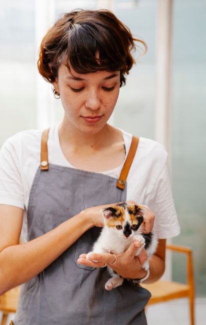 Charming female worker in apron stroking adorable kitty on hand in building on blurred background