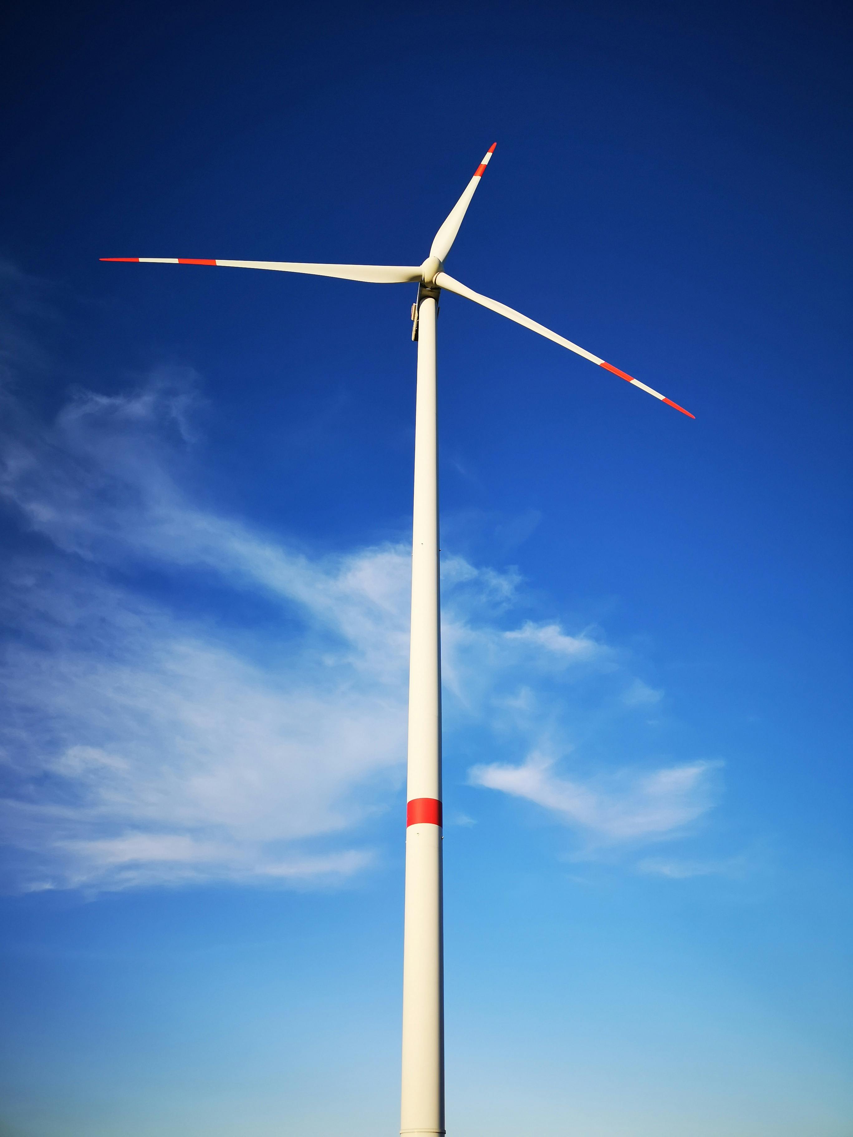 Menghangatkan MPASI menggunakan baby food warmer