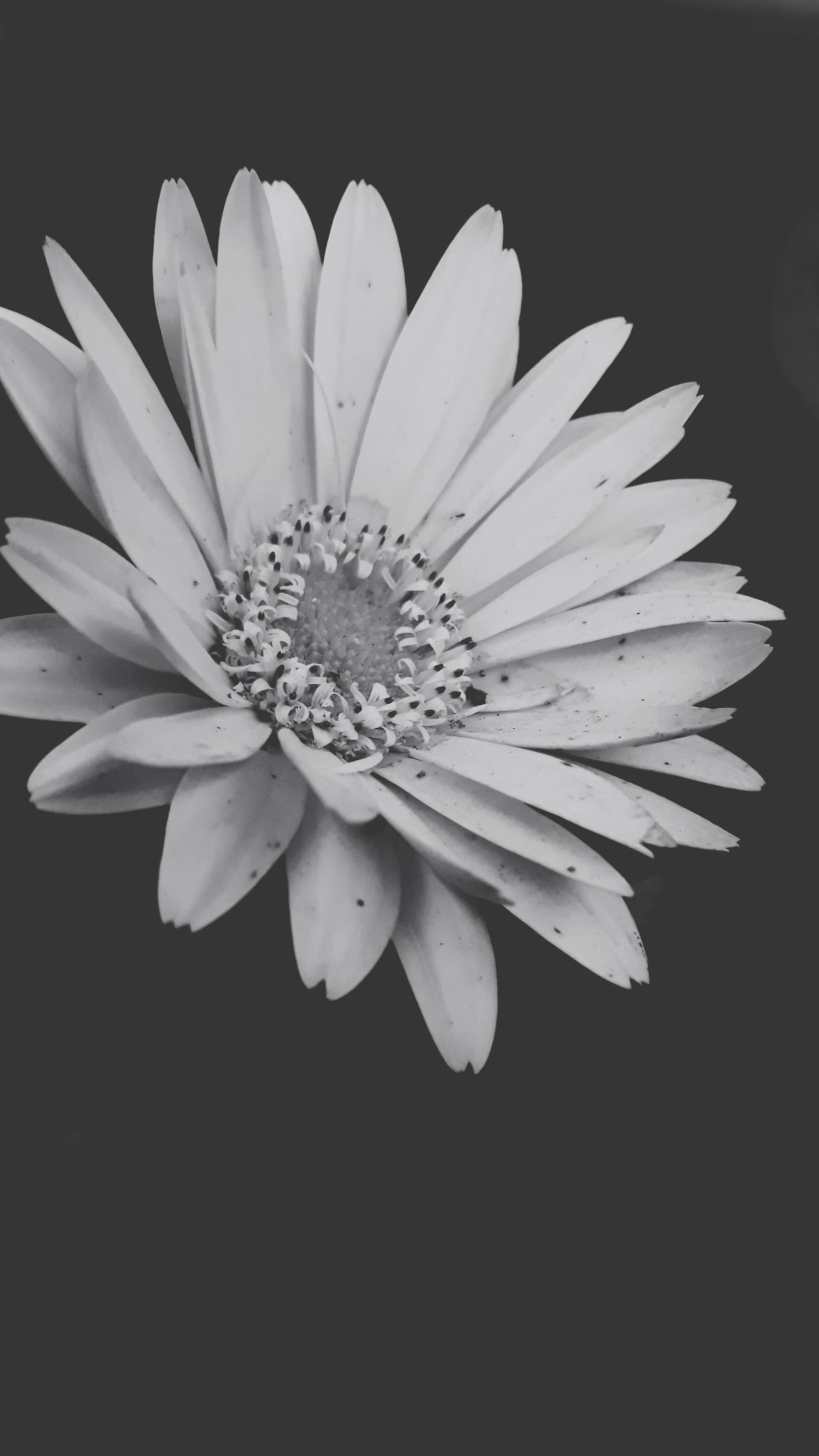 Government building with digital network overlay symbolizing technology regulation