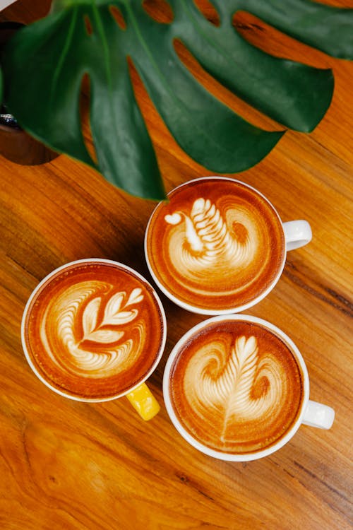 Free Cups of latte on table with plant Stock Photo
