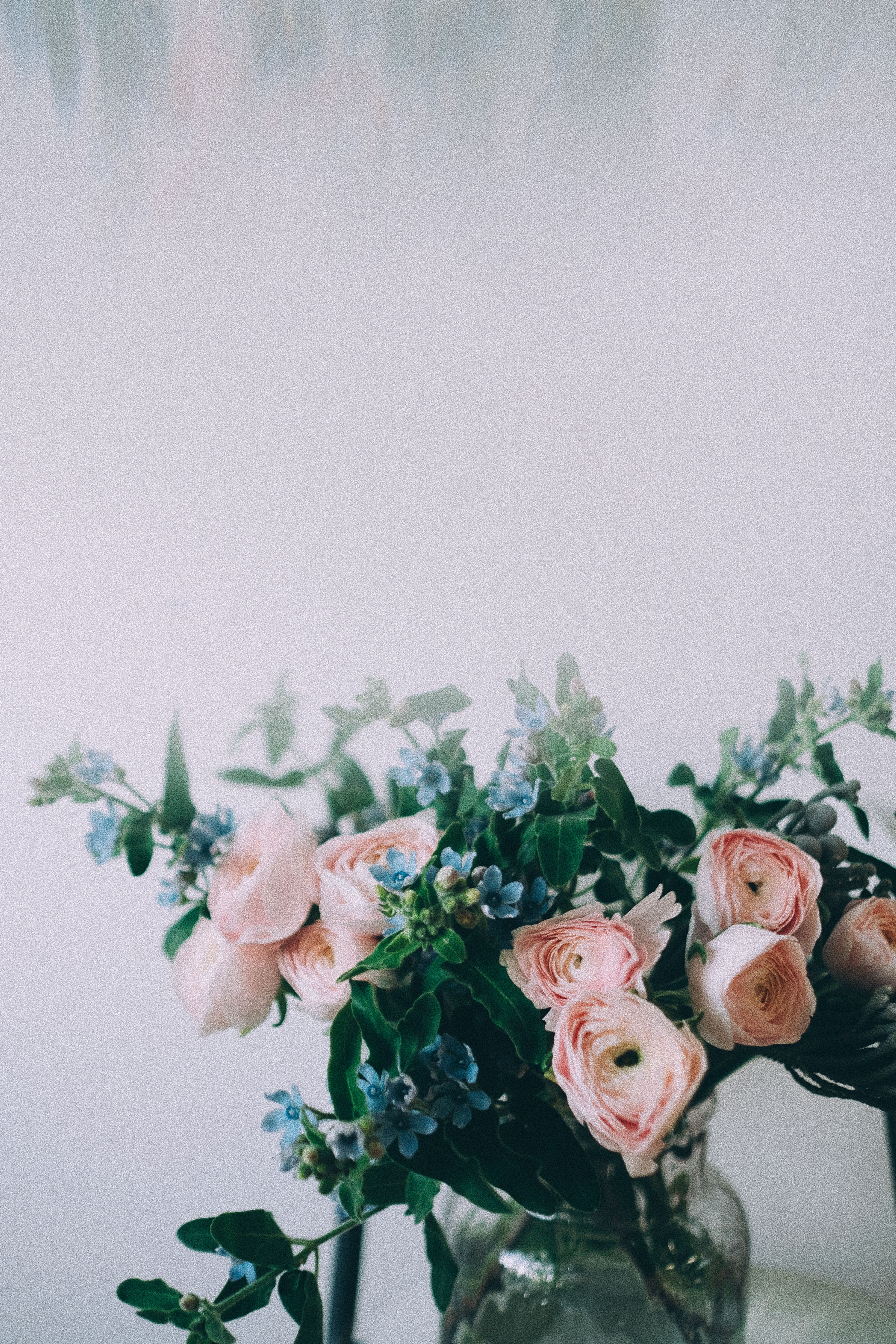 Pink Rose and Blue Flowers in a Glass Vase · Free Stock Photo