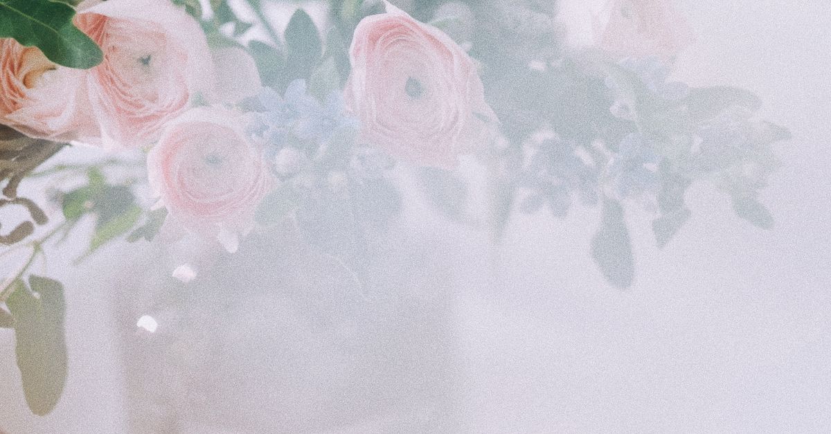 Belle de jour fleurs : plantation et variétés