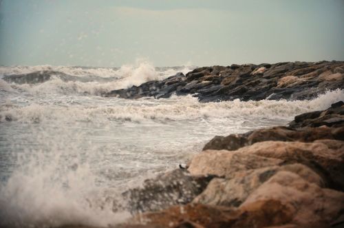 Free Waves crashing against rocky shore under a light sky, showcasing the ocean's power. Stock Photo