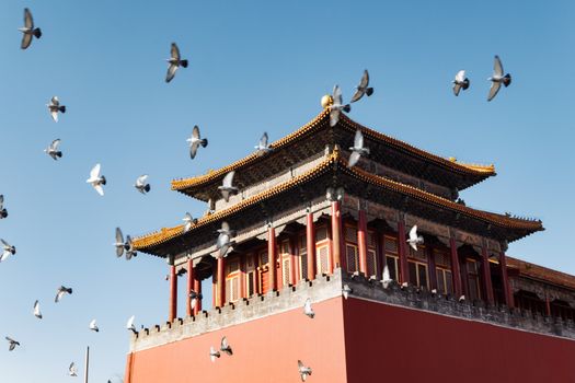 Forbidden City with an imperial historian — Beijing
