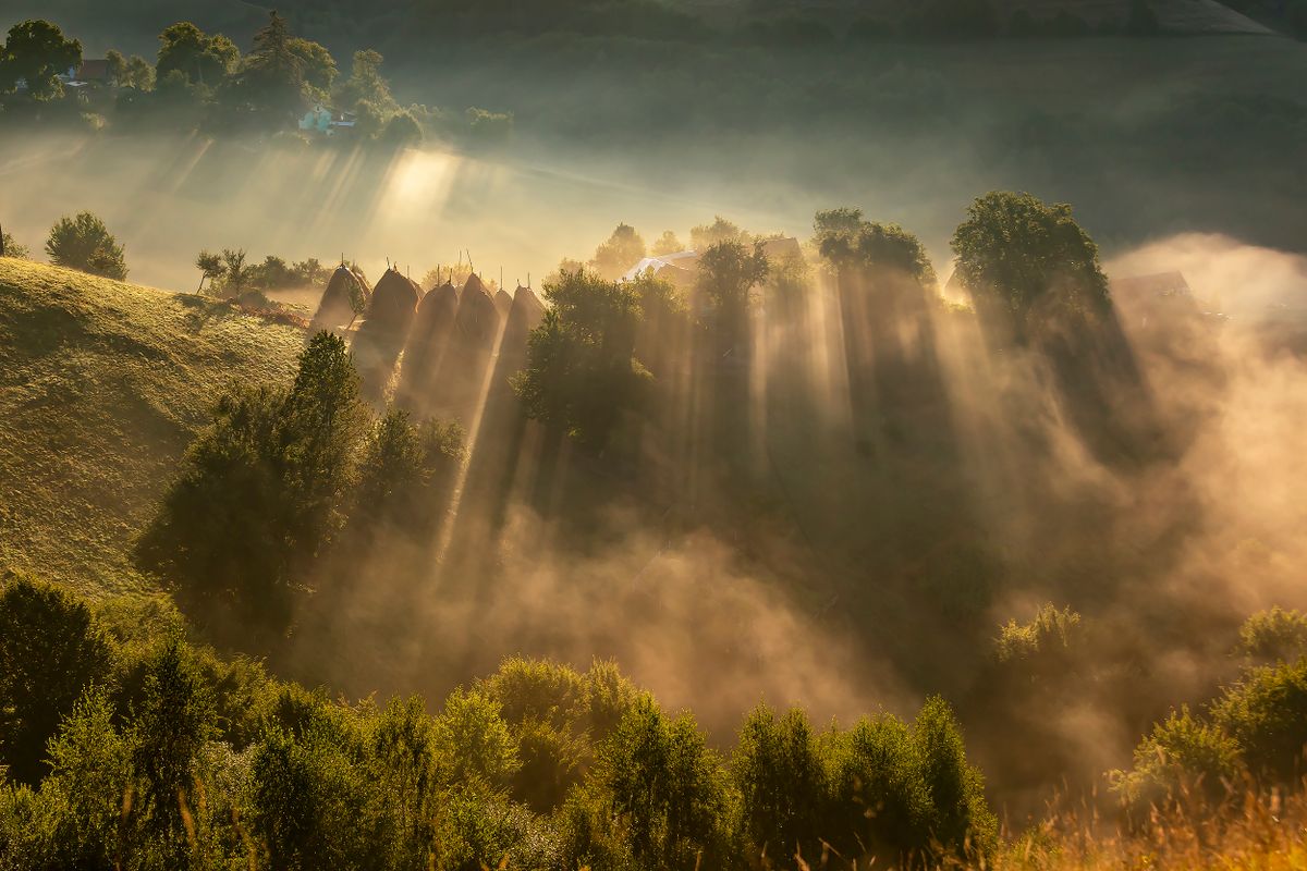 Raze de soare prin ceata peste o padure, la Holbav